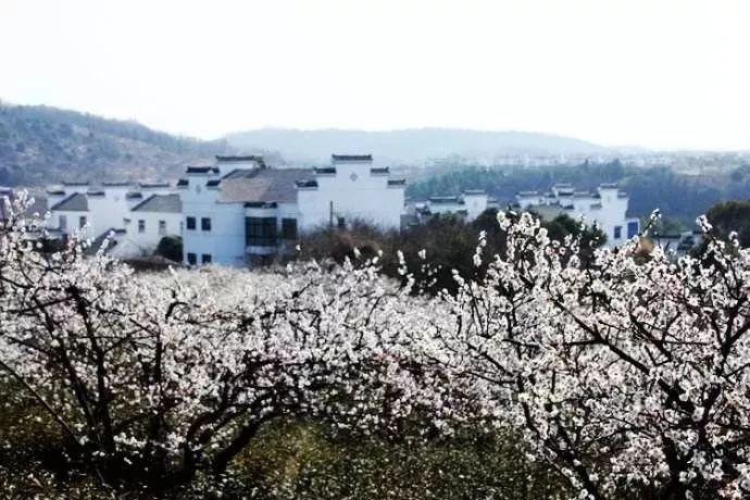 暗黑地牢