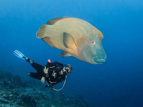 浙江移动完成双频双模基站首次商用验证:以数字赋能乡村共同富裕