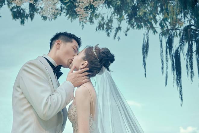 栀子花叶子发黄了怎么办游戏画面