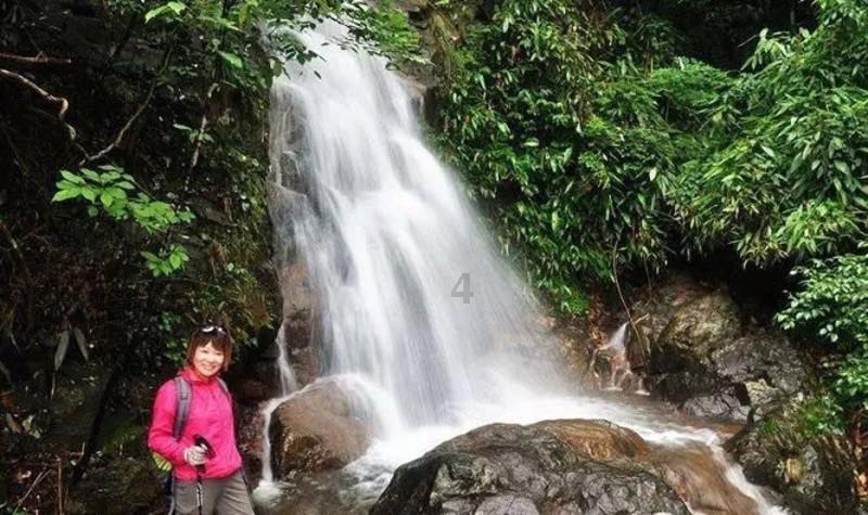 海水细沙购物袋椰壳铲子怎么变成淡水游戏画面